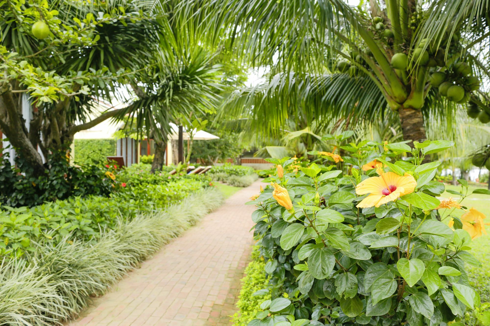 Hotel Mulberry Collection Silk Marina Imperial Wing Hoi An Exterior foto